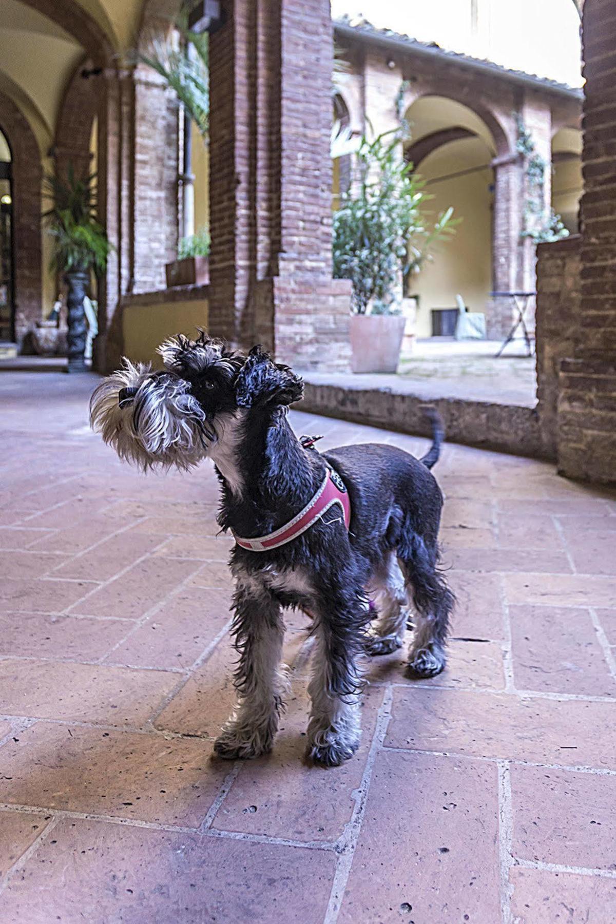 Il Chiostro Del Carmine Hotel Siena Ngoại thất bức ảnh